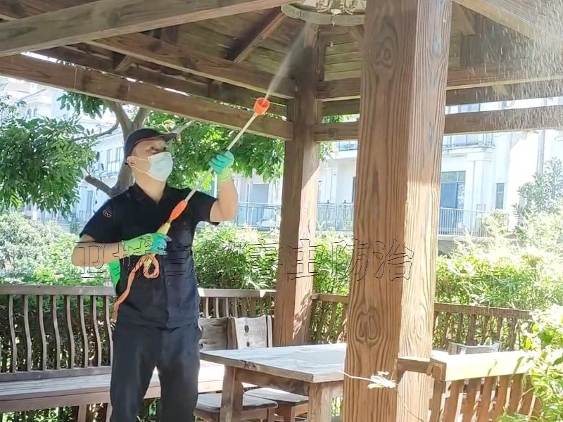 东莞专业石龙防治白蚁中心公司,专业石龙防治白蚁站所