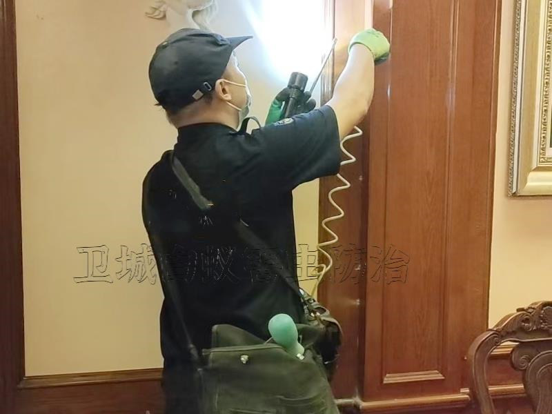 博罗县白蚁防治中心｛博罗灭白蚁公司｝惠州市博罗县白蚁防治站