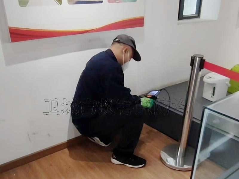 房门惠州龙门县白蚁防治本地服务商-卫城惠州龙门县专业白蚁虫害防治热线13824275151