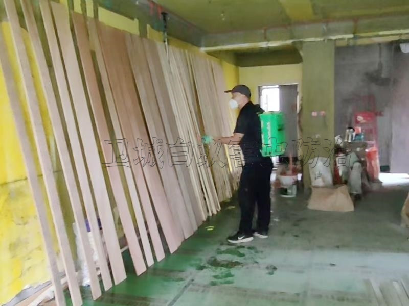 东坑白蚁防治,东莞灭白蚁中心,南城除白蚁