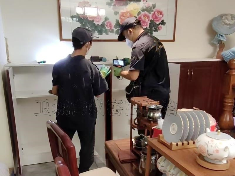 深圳公明白蚁消杀防治所-公明白蚁治理站热线电话