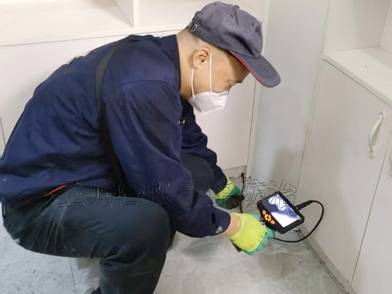 龙华白蚁防治中心电话多少-深圳龙华上门除白蚁电话