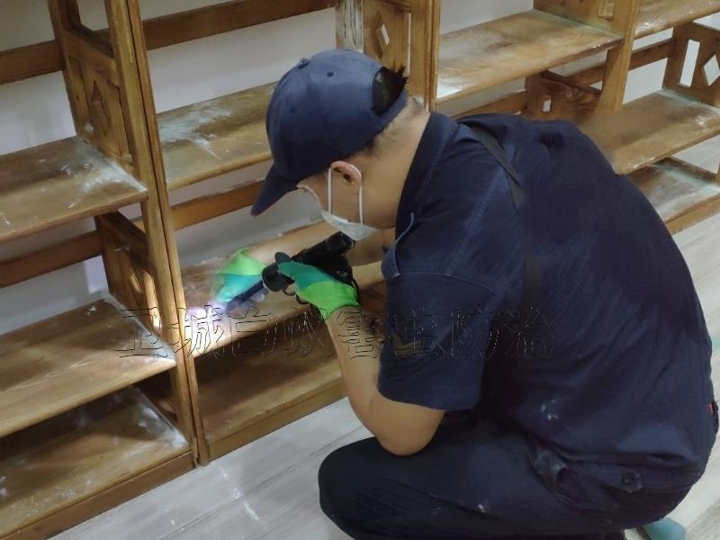 石岩统一白蚁服务中心,石岩灭白蚁公司电话