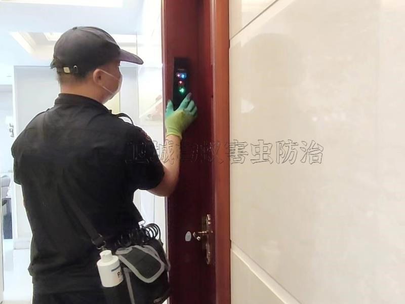 西乡灭白蚁机构电话号码-西乡除白蚁专业机构推荐