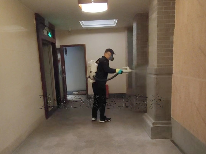 东莞凤岗消毒公司-东莞市卫城白蚁害虫防治有限公司