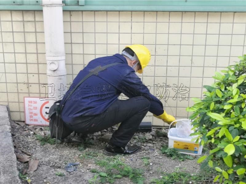 塘厦除四害公司，清溪工厂杀虫灭鼠，凤岗灭除白蚁