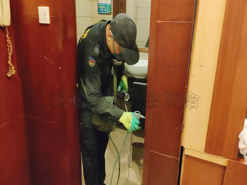 白蚁防治要收费吗？-厚街白蚁防治中心