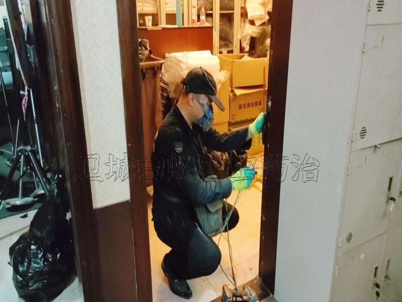 清溪杀臭虫，一次灭杀，臭虫死光光！