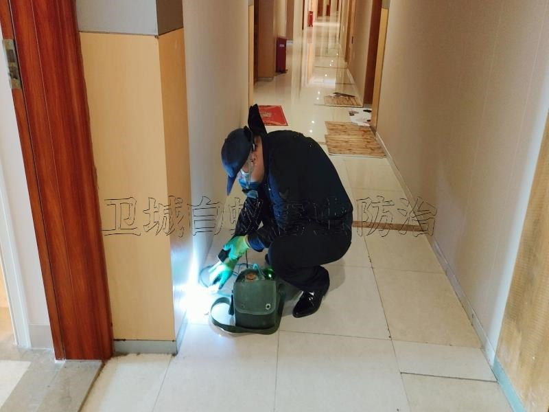 东莞灭白蚁公司