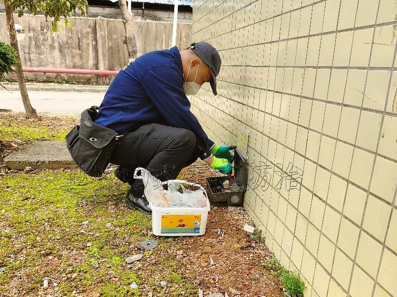 凤岗除四害公司，塘厦白蚁防治，清溪杀臭虫