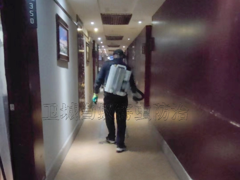 怎么预防吸血臭虫 专业除虫公司来教您-黄江杀臭虫公司