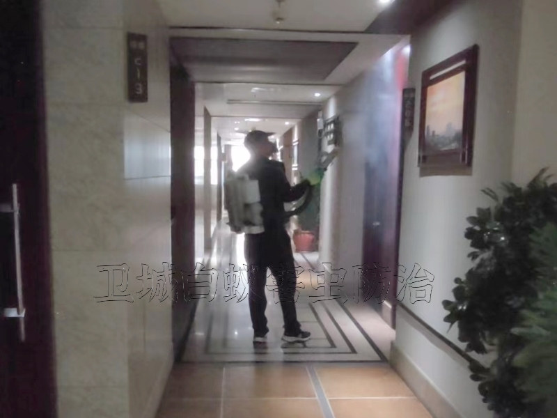 厚街杀臭虫，沙田灭跳蚤除四害公司价格优服务好