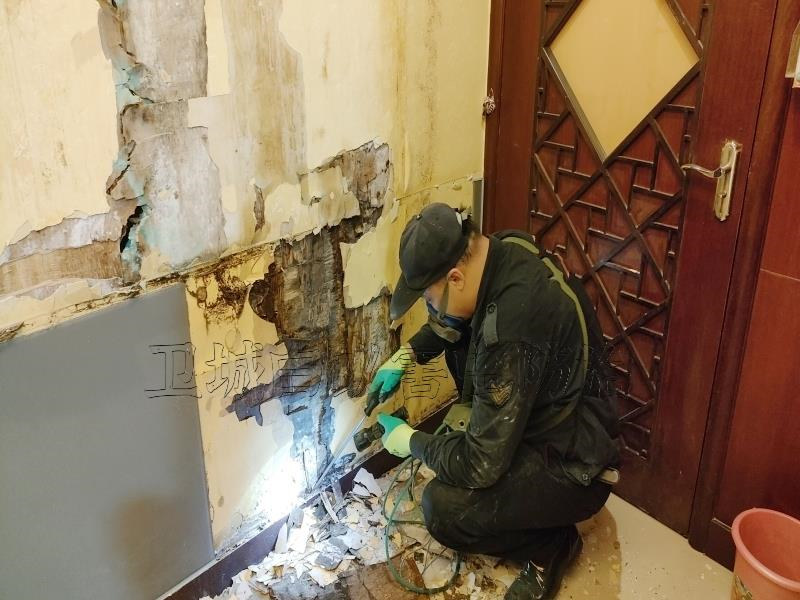凤岗灭白蚁公司:一连数家住户均遭到白蚁的危害