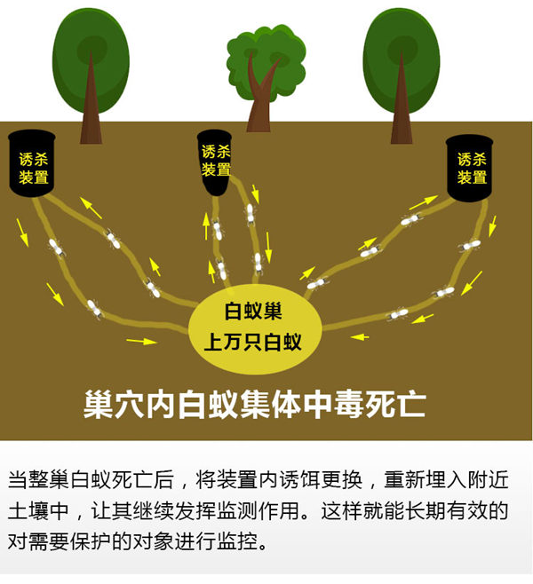 别墅监测白蚁装置,园林白蚁绿化诱杀箱