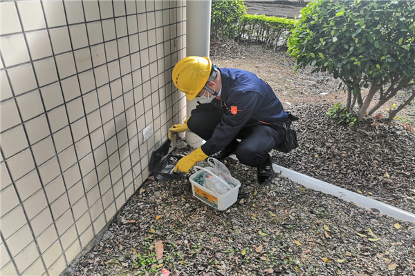 凤岗杀虫灭鼠公司,清溪除四害杀虫,樟木头白蚁防治