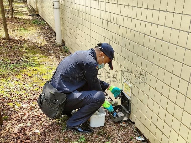 东莞塘厦杀虫公司-东莞各类学校除虫灭鼠及杀蟑灭蚊蝇防治工作